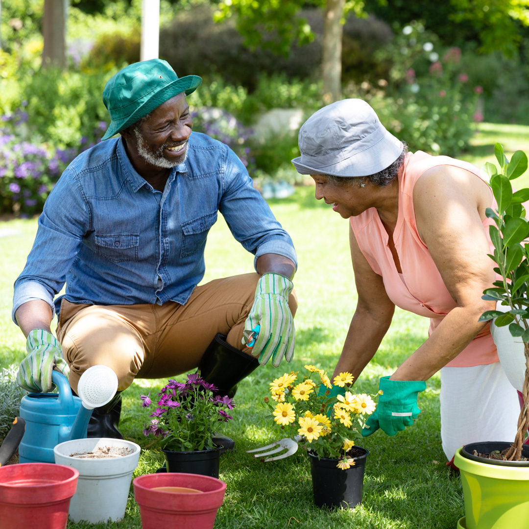 Older couple planting flowers together