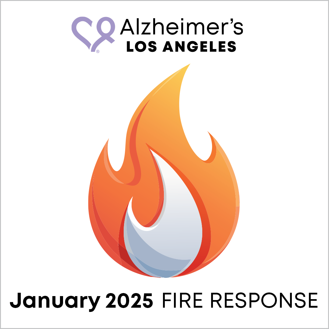 fire icon - January 2025 Fire Response