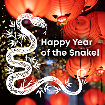 photo of red lanterns with simple illustration of snake - Happy Year of the Snake